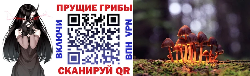 Галлюциногенные грибы Psilocybe  цены   Кропоткин 