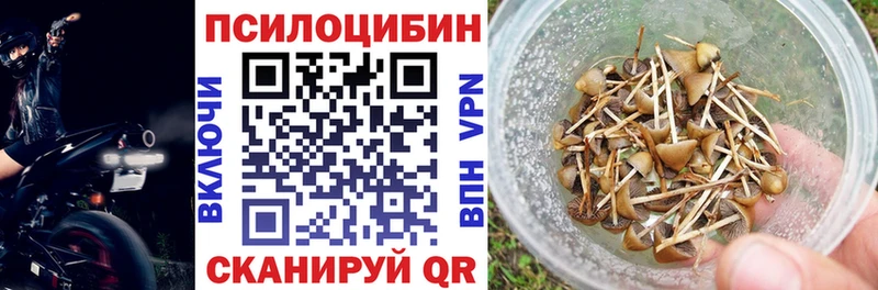 Псилоцибиновые грибы Psilocybine cubensis Кропоткин
