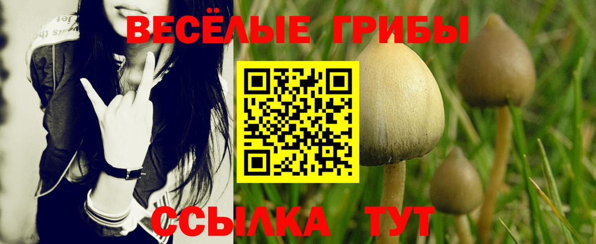 сколько стоит  Галлюциногенные грибы MAGIC MUSHROOMS  Вход с VPN  Кропоткин 